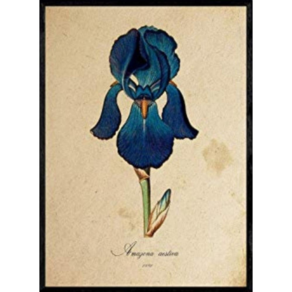 POSTER Amazona. A4 Schwarzer Rahmen - Schwarz, Papier (29.7/5/21cm) - Nacnic