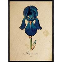 POSTER Amazona. A4 Schwarzer Rahmen - Schwarz, Papier (29.7/5/21cm) - Nacnic