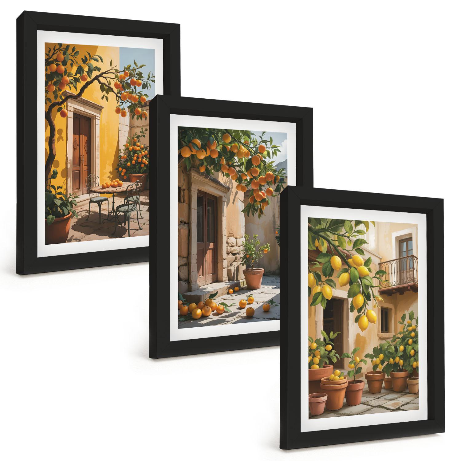 BILDER SET 3er Set - 20x30 cm Schwarzer Rahmen - Zitrusfrüchte, Hofpflanzen - Schwarz, Kunststoff (20/30cm) - TULUP