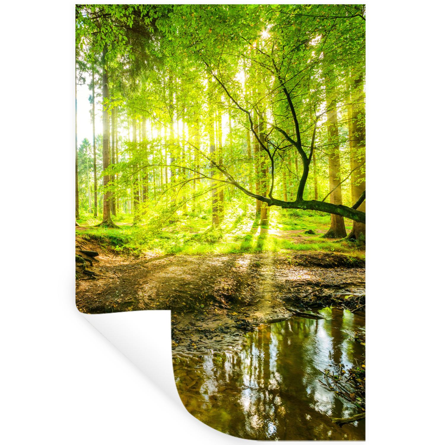 WANDTATTOO Wald - Landschaft - Wasser - Bäume - Sonne - Grün - Natur Wandaufkleber 80x120 cm - Grün, Kunststoff (80/120/0.1cm) - MuchoWow