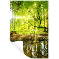 WANDTATTOO Wald - Landschaft - Wasser - Bäume - Sonne - Grün - Natur Wandaufkleber 80x120 cm - Grün, Kunststoff (80/120/0.1cm) - MuchoWow