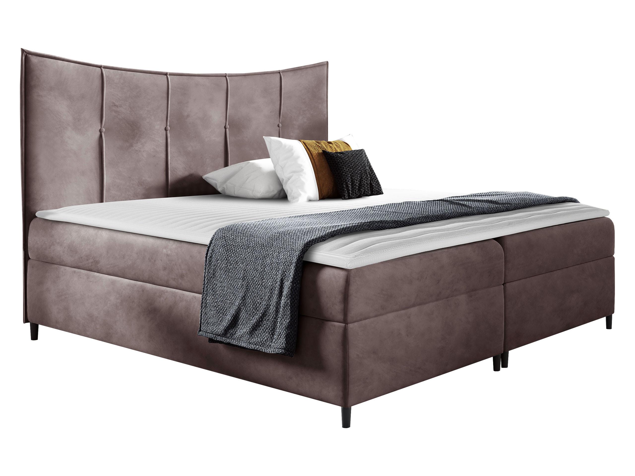 BOXBETT Bergamo - H3 - Violett, Holz (160/200cm) - MIRJAN24