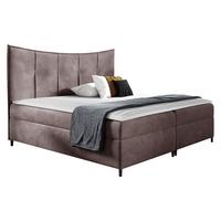 BOXBETT Bergamo - H3 - Violett, Holz (160/200cm) - MIRJAN24