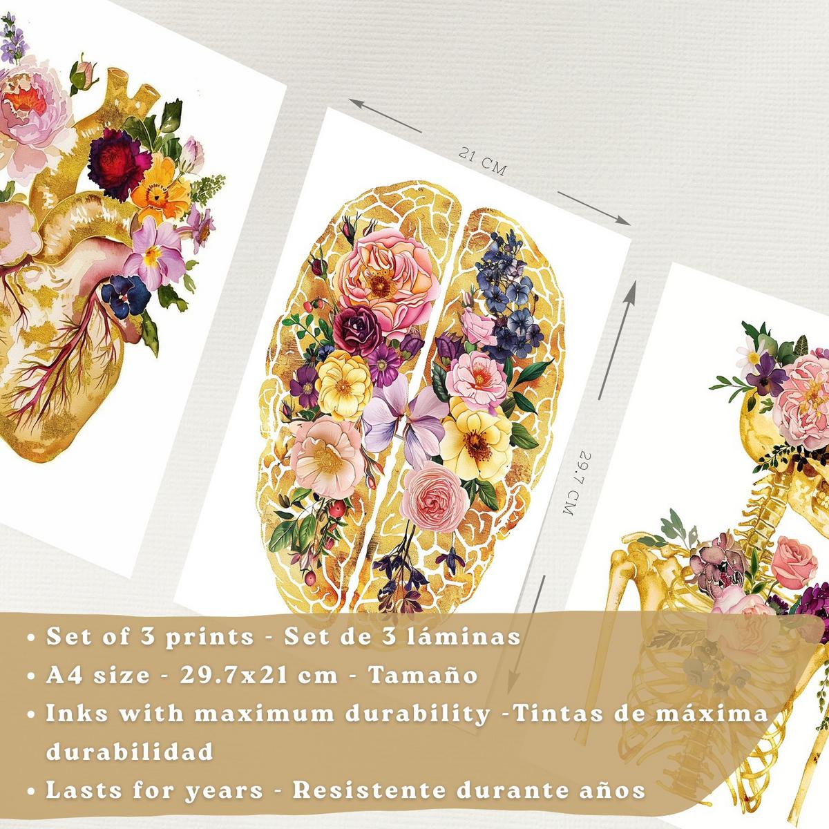 POSTER Set aus 3 Anatomie Mensch Drucke und Wandbilder mit Herz Gehirn und Skelett Goldenes Florales Design Wanddekoration Größe Schwarzer Rahmen A4 - Schwarz, Papier (21/29.7/3cm) - Nacnic