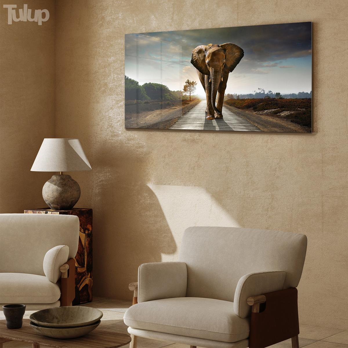 GLASBILD 140x70 cm Safari-Sonnenuntergang - Braun, Glas (140/70cm) - TULUP