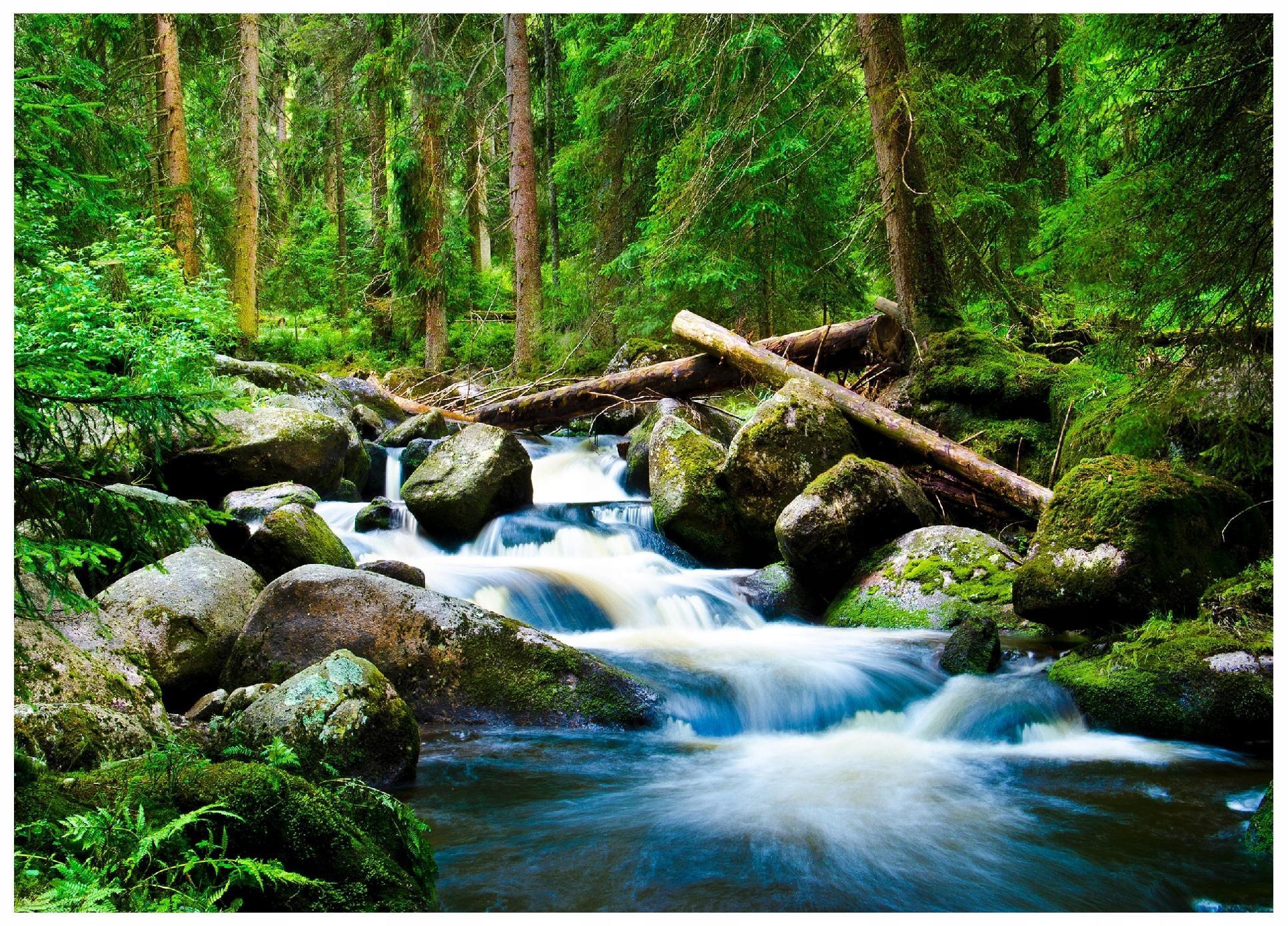 FOTOTAPETE Wasserfall 3D Natur 250x175 - Multicolor, Papier (250/175cm) - Wallarena