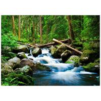 FOTOTAPETE Wasserfall 3D Natur 250x175 - Multicolor, Papier (250/175cm) - Wallarena