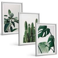 BILDER SET 3er Set - 40x60 cm Silberner Rahmen - Tropische ästhetische Pflanzen - Silberfarben, Kunststoff (40/60cm) - TULUP