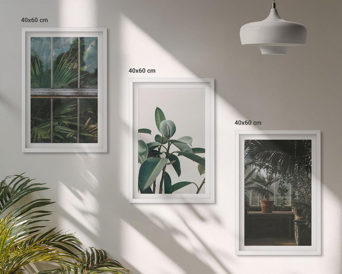 BILDER SET 3er Set - 40x60 cm Weißer Rahmen - Grüne Blätter an der Fensterpflanze - Weiß, Kunststoff (40/60cm) - TULUP
