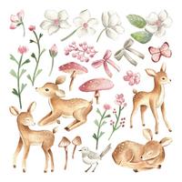 WANDAUFKLEBER 60x89cm - Waldtiere - Multicolor, Kunststoff (60/89/0.1cm) - Wallfluent