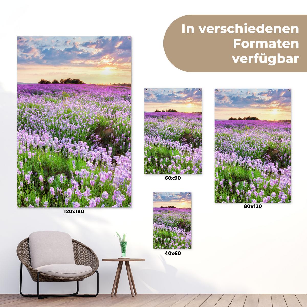 GARTENPOSTER Blumen - Lavendel - Lila - Himmel - Sonnenuntergang - Wiese - Natur Outdoor Bilder 80x120 cm - Flieder, Kunststoff (80/120/0.2cm) - OnlyWow