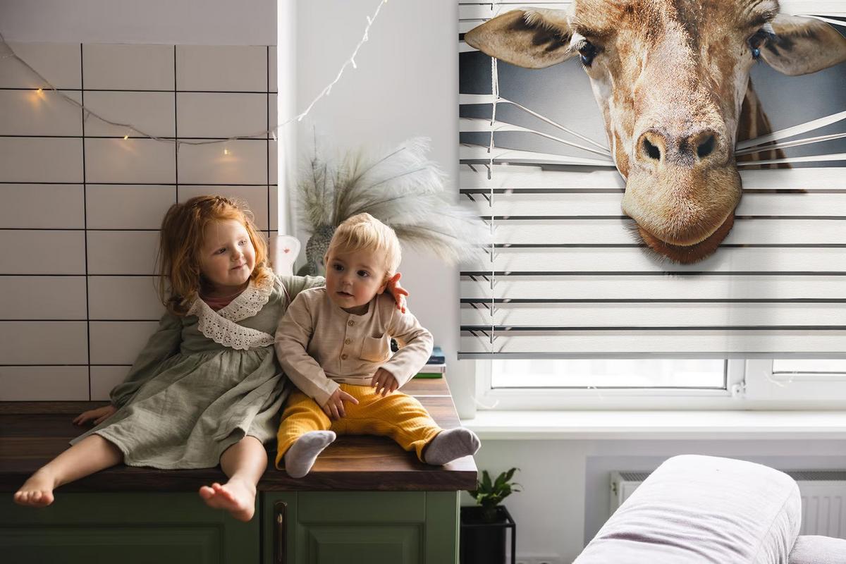 INNENROLLO - Fensterrollo - Rollo - 150x180 cm - Giraffe - Grau, Kunststoff (150/180/0.5cm) - TULUP