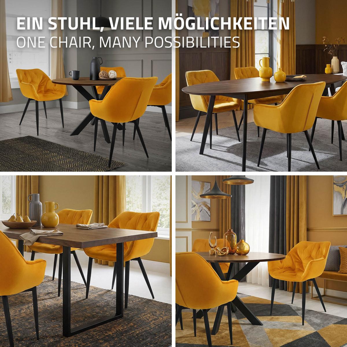 ESSZIMMERSTÜHLE 4er Set Senfgelb Samt - Gelb/Schwarz, Metall (67/83/59cm) - ML-DESIGN