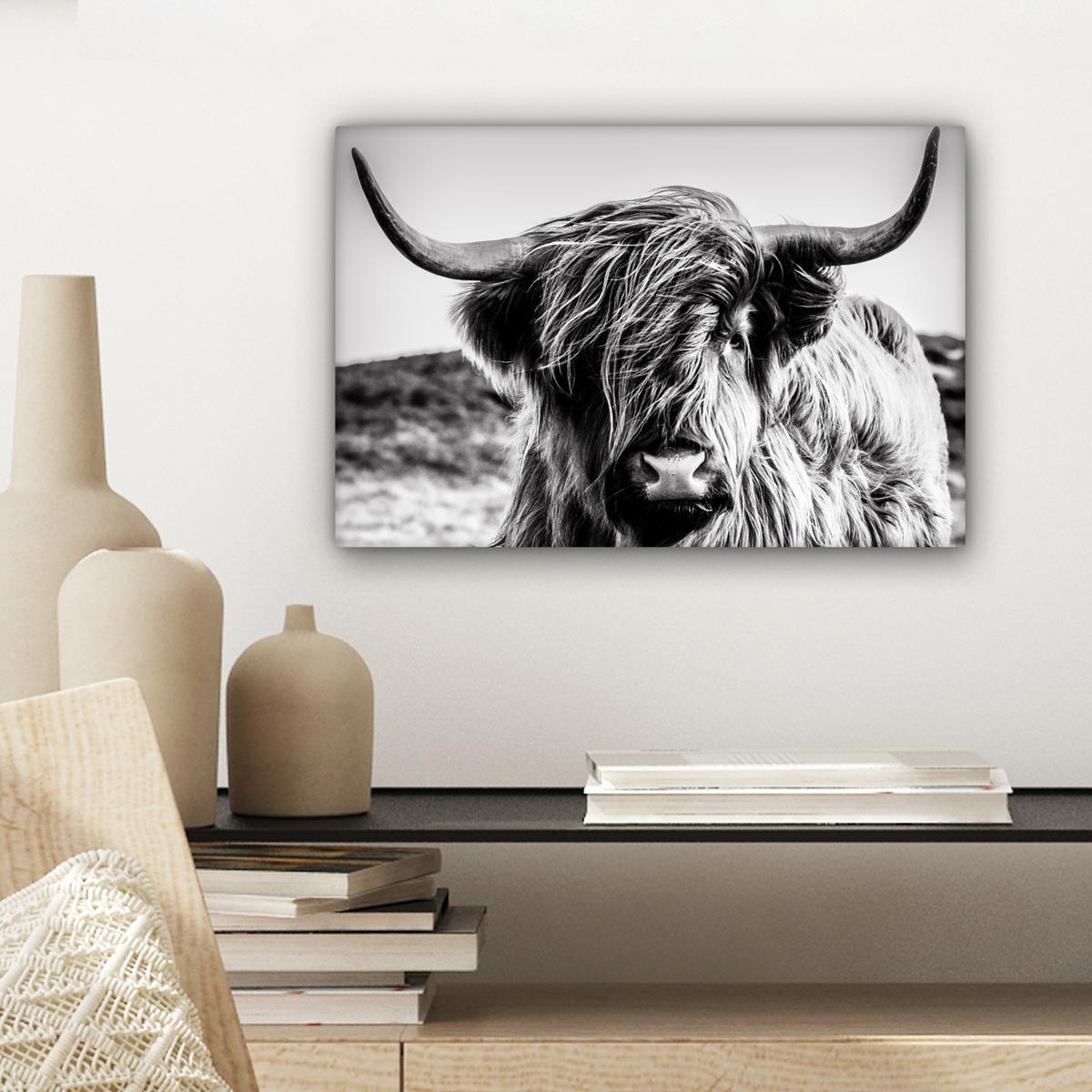 LEINWANDBILD Kuh - Schottischer Hochländer - Schwarz - Weiß - Tier - Natur - Wildtiere Deko Schlafzimmer 30x20 cm - Schwarz, Textil (30/20cm) - MuchoWow