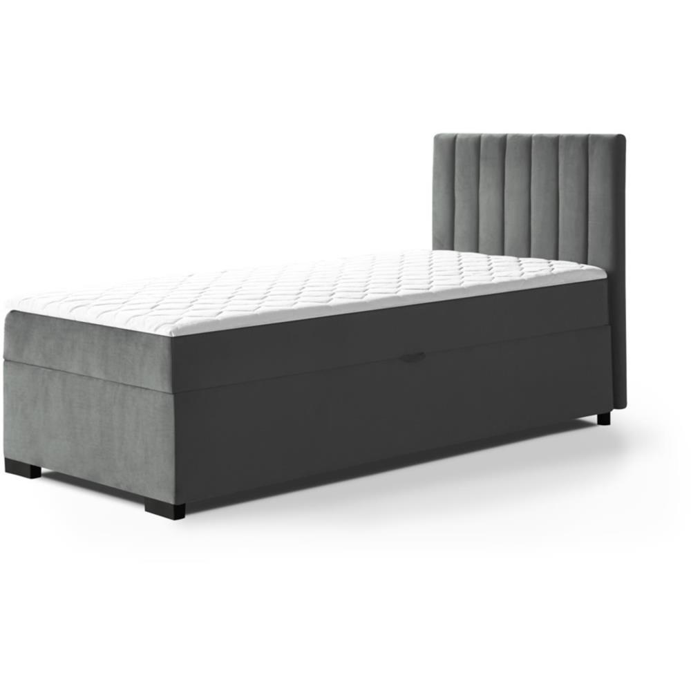 POLSTERBETT Eric 104/207/105 dunkelgrau - Dunkelgrau, Holzwerkstoff/Textil (100/200cm) - Beautysofa