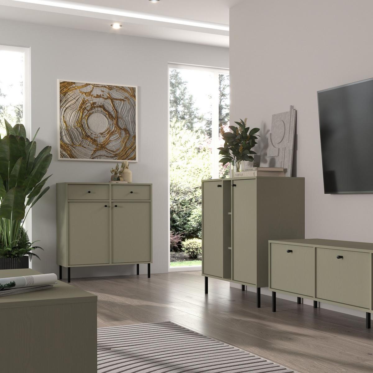 KOMMODE TORINO 84/95/41 cm mit 2 Schubladen 2 Türen Hellgrün - Hellgrün, Holzwerkstoff (84/95/41cm) - MASSENO