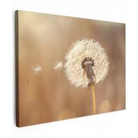 LEINWANDBILD Löwenzahn - Beige - Natur - Blume Wandbilder 80x60 cm - Hellbraun, Textil (80/60cm) - MuchoWow