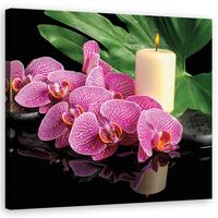 WANDBILD rosa orchidee kerzen - Lila, Textil (40/40cm) - Feeby