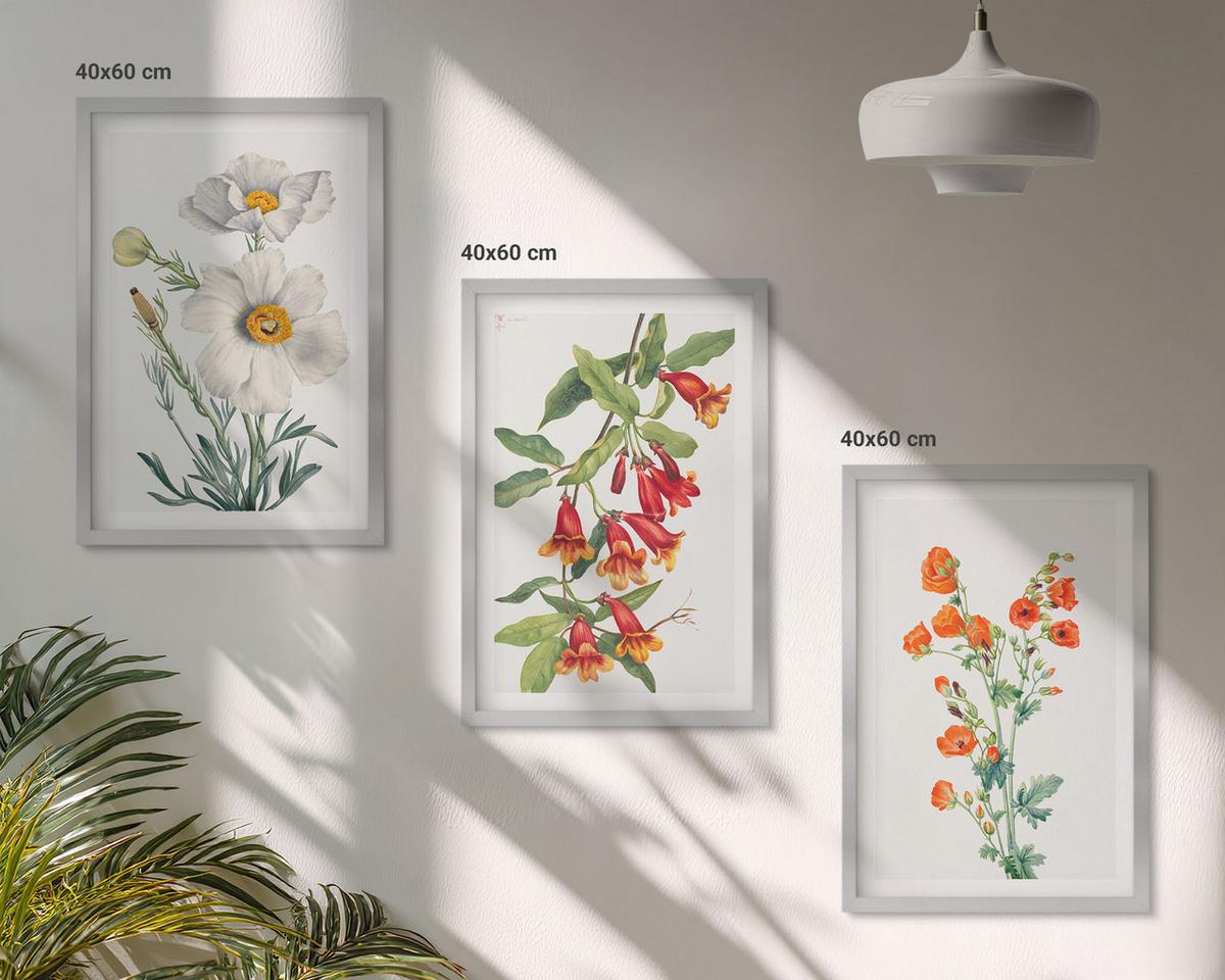 BILDER SET 3er Set - 40x60 cm Silberner Rahmen - Retro-Blumenarrangements - Silberfarben, Kunststoff (40/60cm) - TULUP