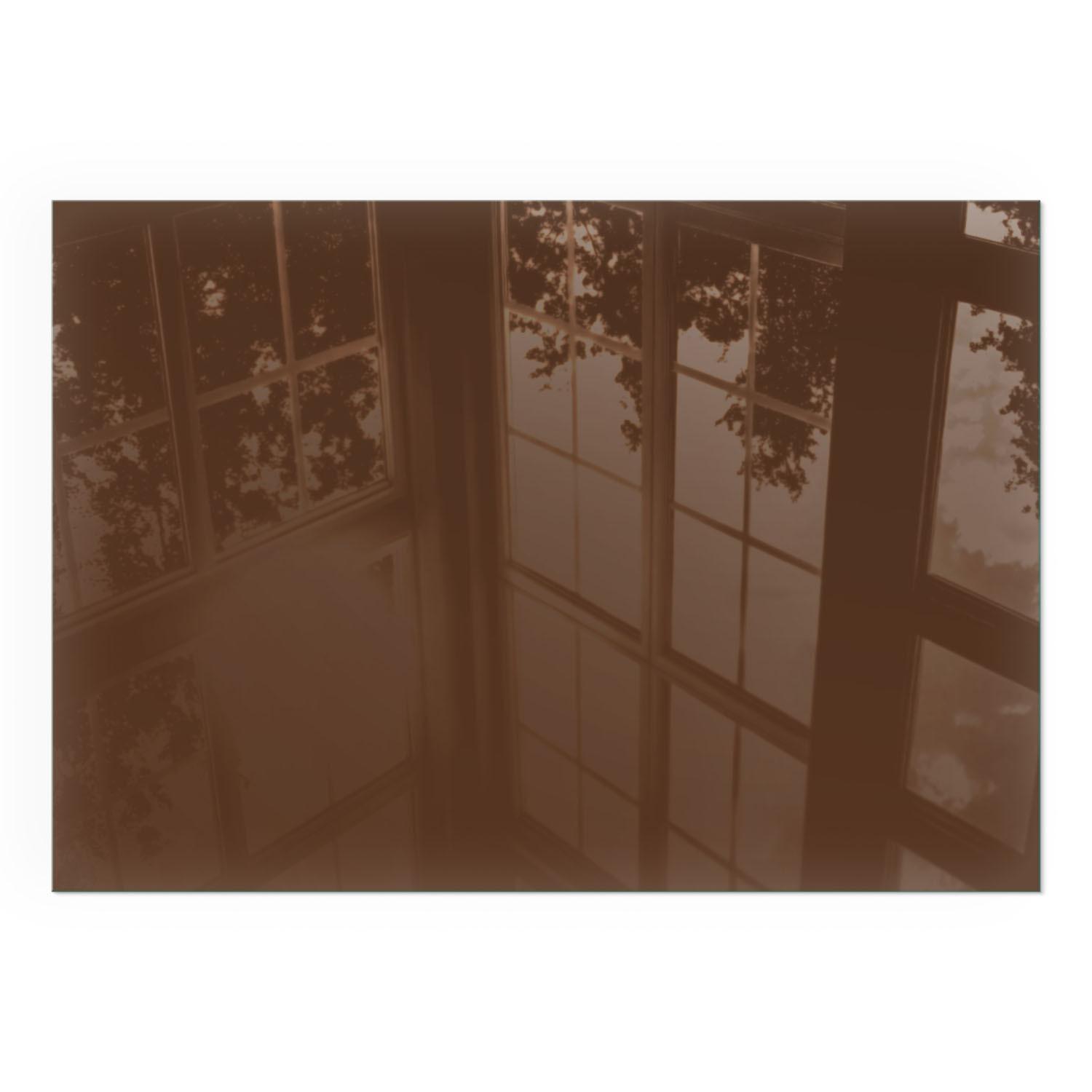 GLASPLATTE für Kamin 100x70 cm - Braun, Glas (100/70/0.4cm) - TULUP