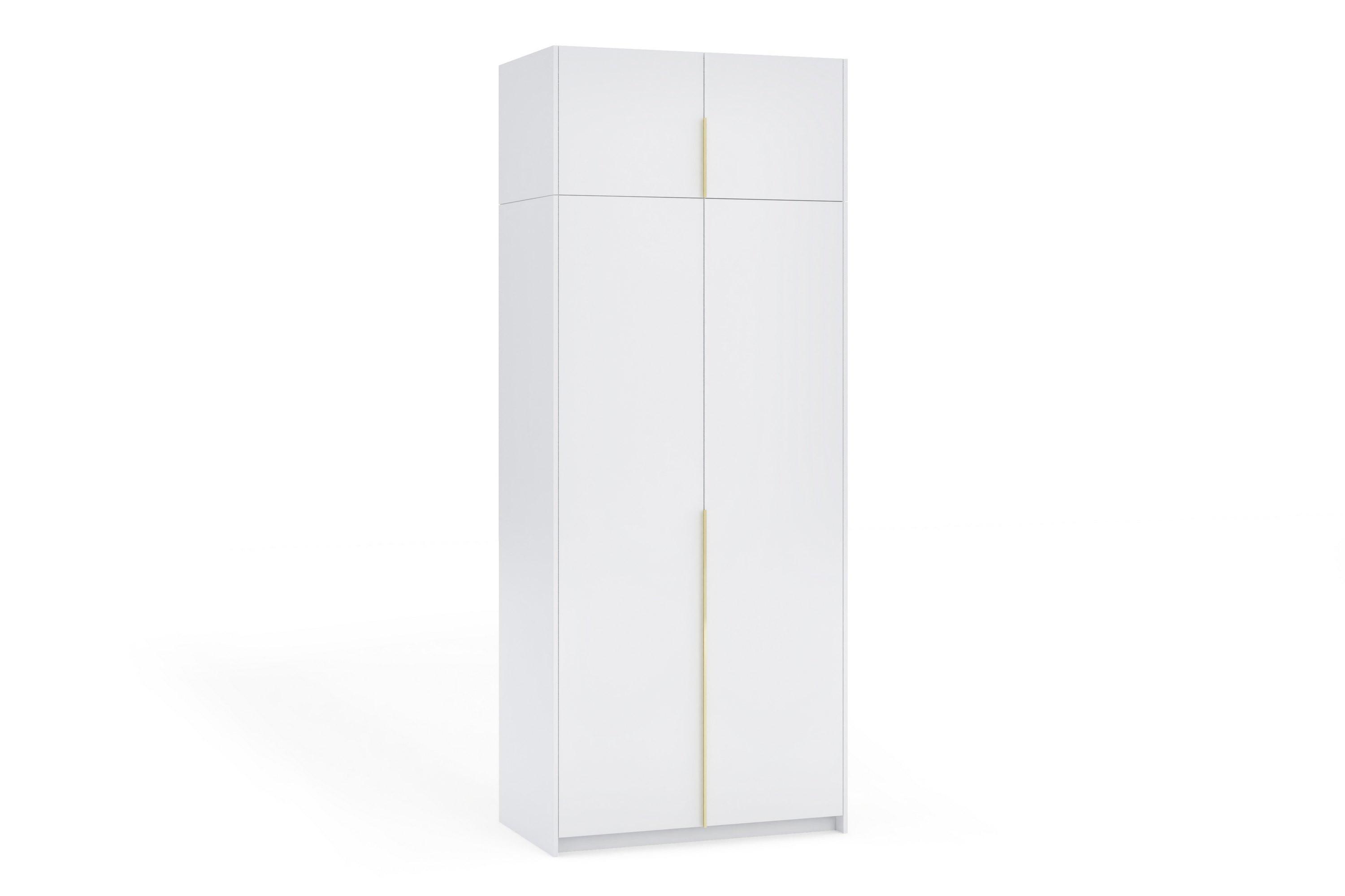DREHTÜRENSCHRANK AMARA 100/250/58cm 2-türig Weiß - Goldfarben/Weiß, Holzwerkstoff (100/250/58cm) - MASSENO