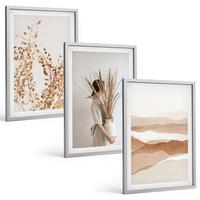 BILDER SET 3er Set - 40x60 cm Silberner Rahmen - Rustikale Boho-Blumenmotive - Silberfarben, Kunststoff (40/60cm) - TULUP