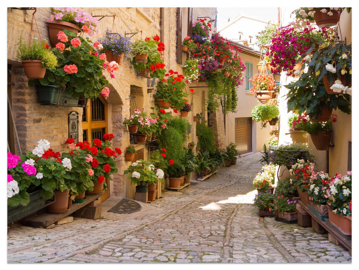 FOTOTAPETE für Wohnzimmer Italienische Steinstraße Blumen Pflanzene 350x256 - Beige/Rot, Papier (350/256cm) - Muralo