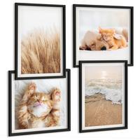 BILDER SET 4er Set - 50x50 cm & 40x60 cm Schwarzer Rahmen - Niedliche Tiere, Katzen, Hunde, Strand - Schwarz, Kunststoff (50/50cm) - TULUP