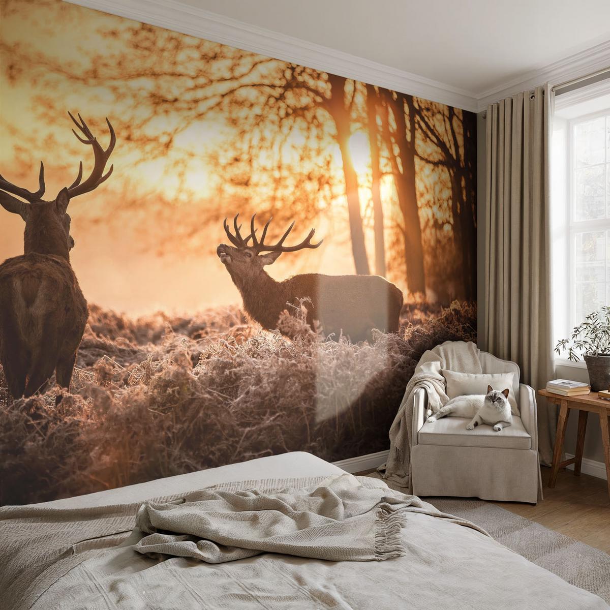 FOTOTAPETE 208x146 cm - Rehe am Morgen - Schwarz, Textil (208/146cm) - Wallfluent