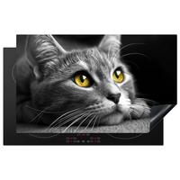 HERDABDECKPLATTE Katze - Grau - Tiere - Katze Induktionsmatte 83x51 cm - Grau, Kunststoff (83/51.5/0.2cm) - MuchoWow