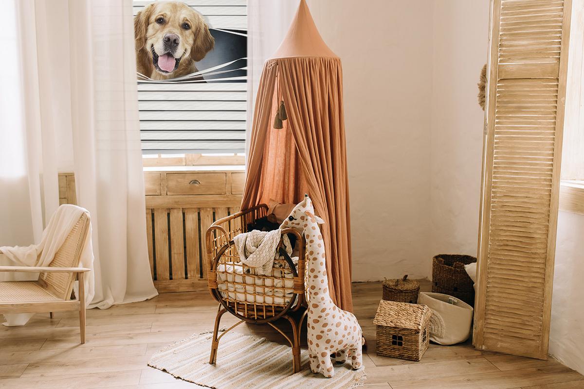 INNENROLLO - Fensterrollo - Rollo - 100x140 cm - Goldener Hund - Grau, Kunststoff (100/140/0.5cm) - TULUP