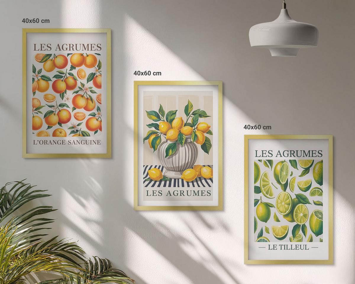 BILDER SET 3er Set - 40x60 cm Goldrahmen - Zitrusfrüchte in farbenfrohen Varianten - Goldfarben, Kunststoff (40/60cm) - TULUP