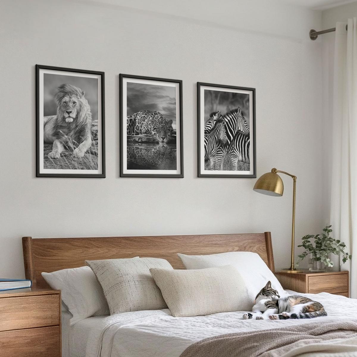 BILDER SET 3er Set - 40x60 cm Schwarzer Rahmen - Wildtiere der Savanne - Schwarz, Kunststoff (40/60cm) - TULUP