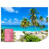 FOTOTAPETE Strand Palmen Ozean Landschaft 3D 300x210 - Blau/Beige, Papier (300/210cm) - Muralo