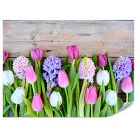 FOTOTAPETE für Küche Rosa Tulpen Violette Hyazinthen Holztisch 100x70 - Ecru/Violett, Papier (100/70cm) - Muralo
