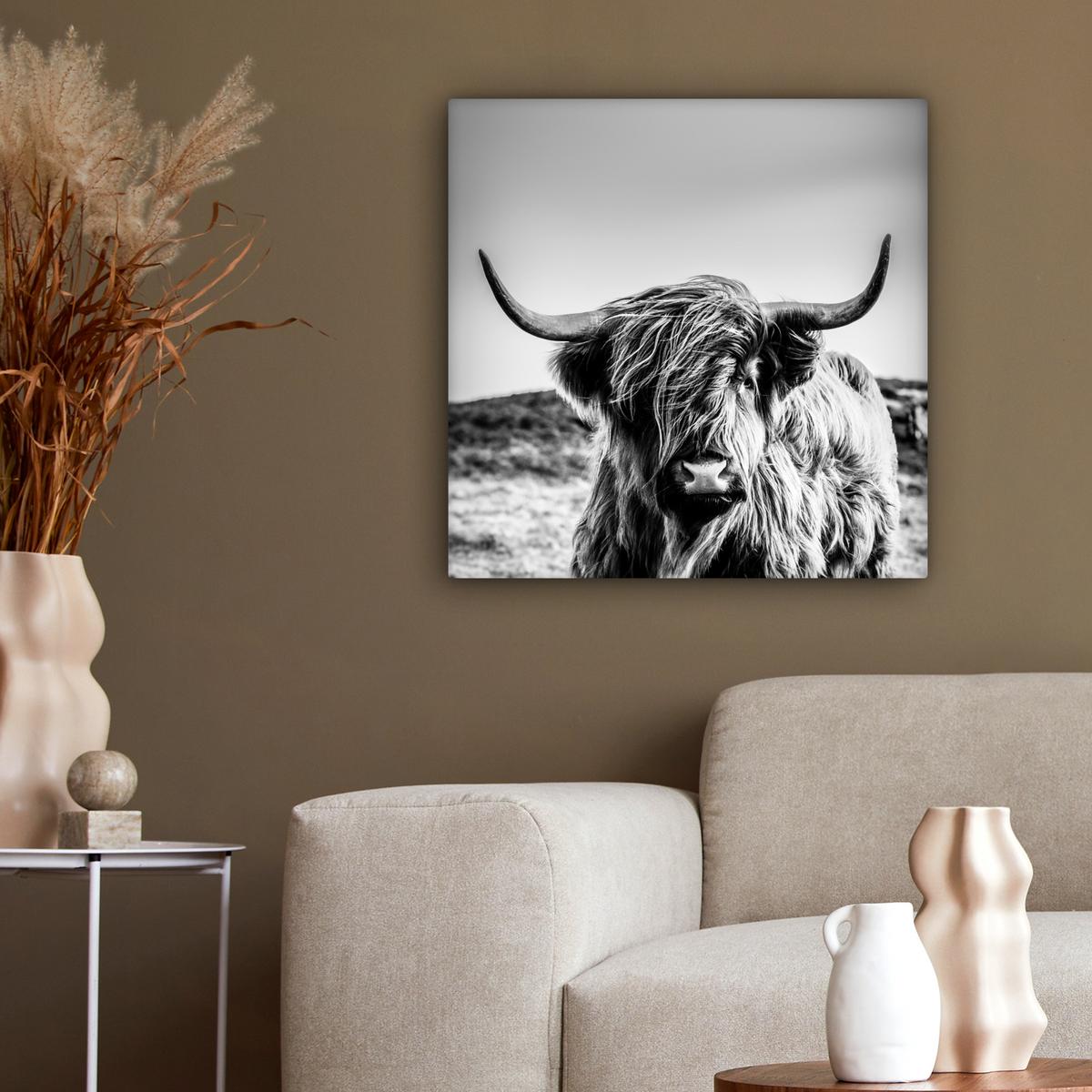LEINWANDBILD Kuh - Schottischer Hochländer - Schwarz - Weiß - Tier - Natur - Wildtiere Wandbild Wohnzimmer 50x50 cm - Schwarz, Textil (50/50cm) - MuchoWow