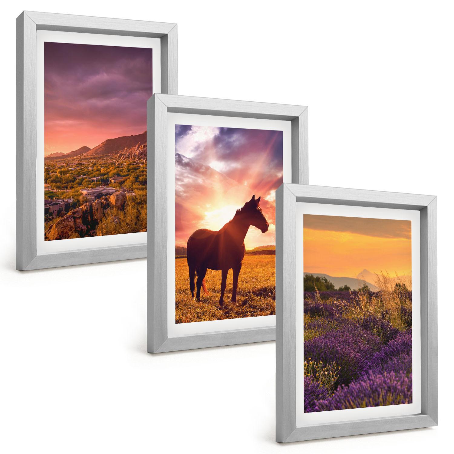 BILDER SET 3er Set - 20x30 cm Silberner Rahmen - Berglandschaft mit einem Pferd - Silberfarben, Kunststoff (20/30cm) - TULUP