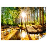 FOTOTAPETE für Wohnzimmer Pflanzen Natur Gras Sonniger Wald Bäume 250x175 - Multicolor, Papier (250/175cm) - Muralo