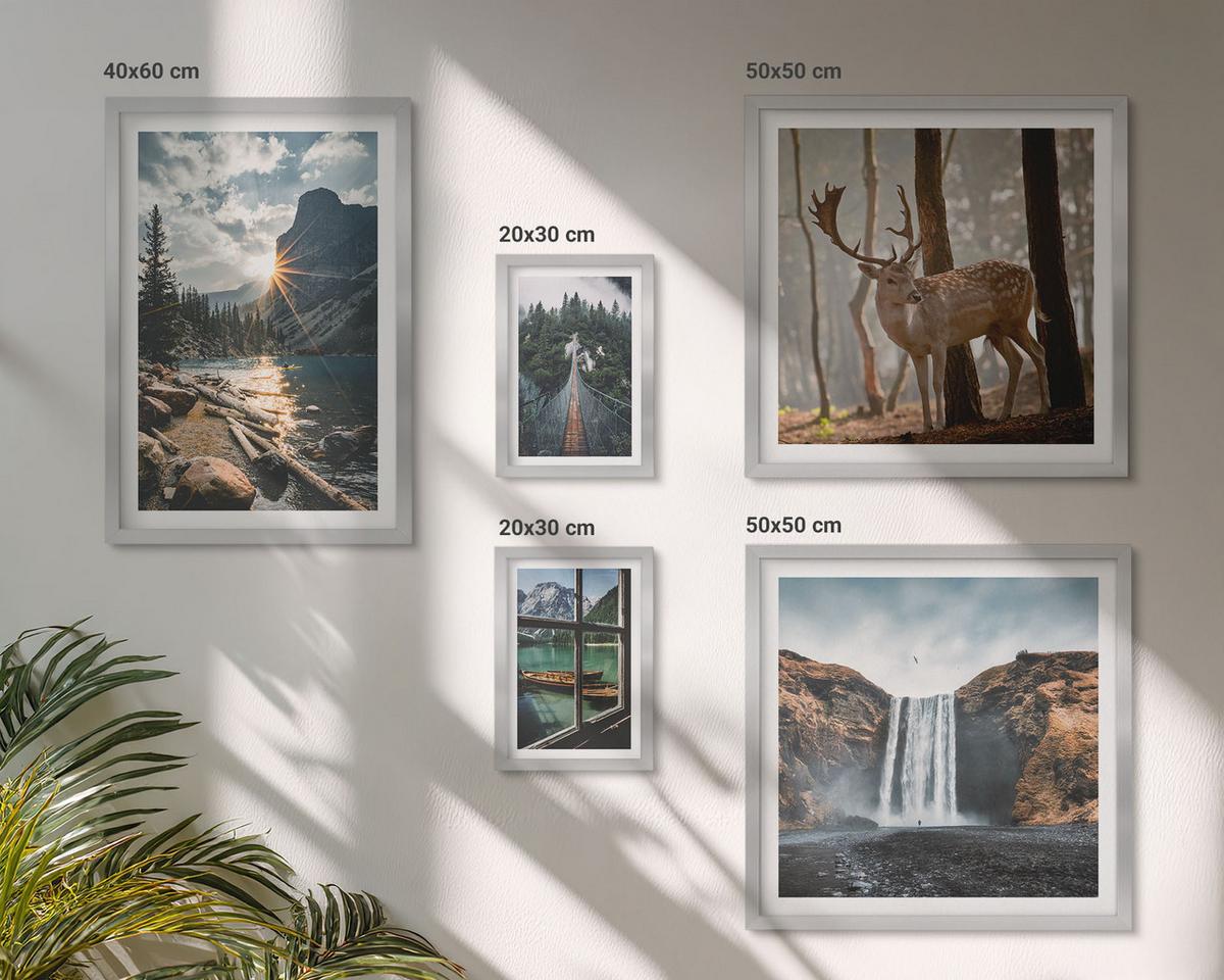 BILDER SET 5er Set - 50x50 cm & 20x30 cm & 40x60 cm Silberner Rahmen - Blumenarrangements in Vasen - Silberfarben, Kunststoff (40/60cm) - TULUP
