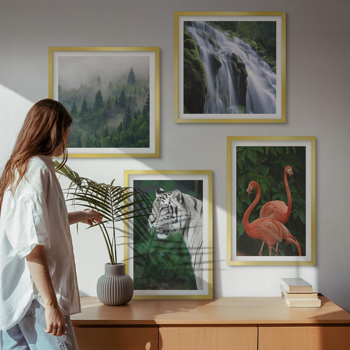 BILDER SET 4er Set - 50x50 cm & 40x60 cm Goldrahmen - Tiger Wasserfall Flamingos Natur - Goldfarben, Kunststoff (50/50cm) - TULUP
