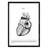 POSTER Anatomie Herz A3 Schwarzer Rahmen - Schwarz, Papier (29.7/5/42cm) - Nacnic