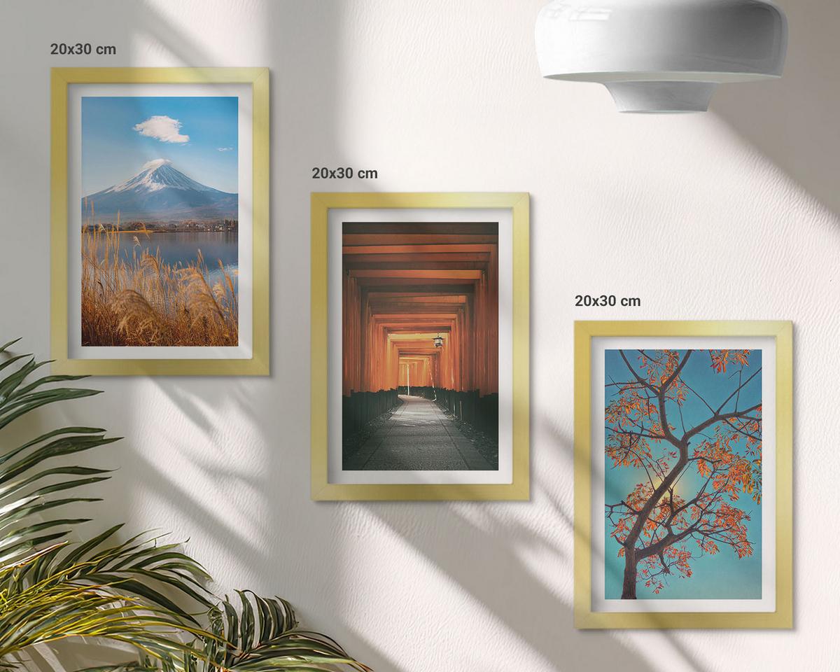 BILDER SET 3er Set - 20x30 cm Goldrahmen - Japanische Naturlandschaften - Goldfarben, Kunststoff (20/30cm) - TULUP