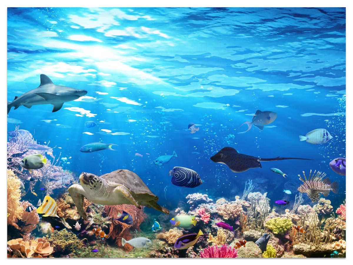 FOTOTAPETE für Badezimmer Korallenriff Schildkröte Hai Fisch 400x280 - Blau/Gelb, Papier (400/280cm) - Muralo