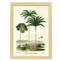 POSTER Tropische Lanscape A3 Rahmen Aus Hellem Holz - Beige, Papier (29.7/5/42cm) - Nacnic