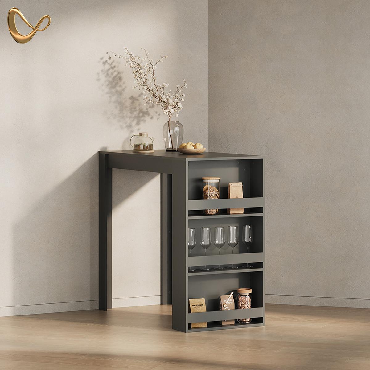 BARTISCH Regusa Anthrazit 57 x 117 cm - Anthrazit, Holzwerkstoff (117/57/106cm) - Livinity®
