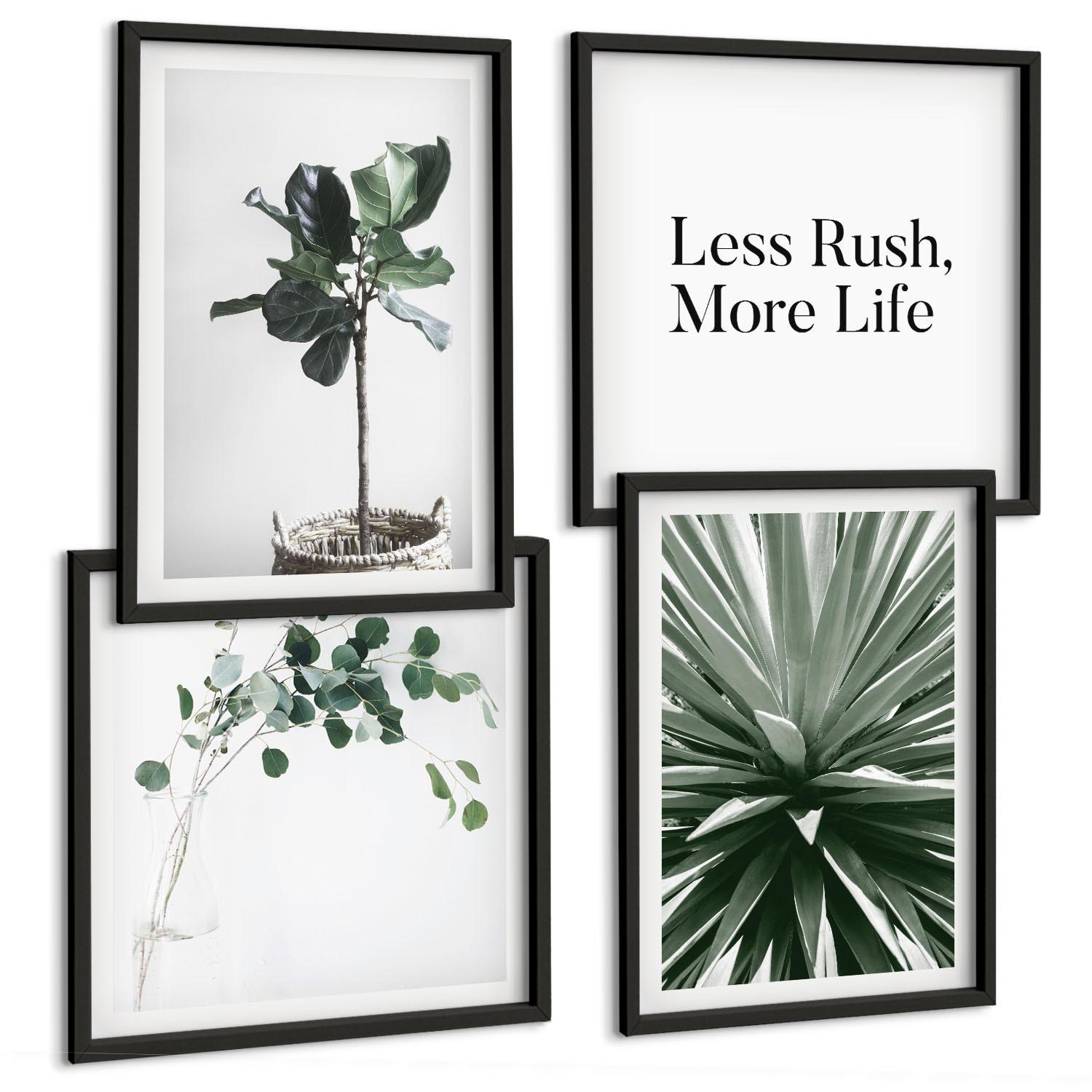 BILDER SET 4er Set - 50x50 cm & 40x60 cm Schwarzer Rahmen - Minimalismus mit grünen Pflanzen - Schwarz, Kunststoff (50/50cm) - TULUP