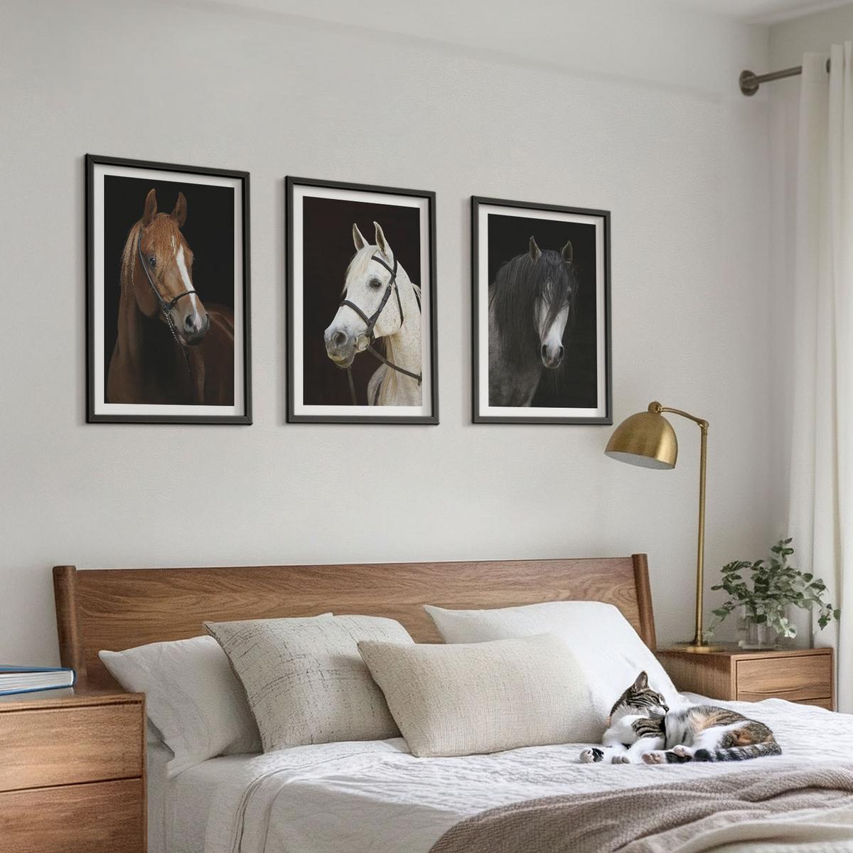 BILDER SET 3er Set - 40x60 cm Schwarzer Rahmen - Porträts von Pferden in verschiedenen Fellfarben - Schwarz, Kunststoff (40/60cm) - TULUP