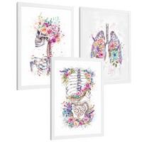 POSTER Set aus 3 Anatomie Drucke mit Skelett Schädel Wirbelsäule Rippen Lungen und Verdauungssystem Künstlerischer Größe Weißer Rahmen A4 - Weiß, Papier (21/29.7/3cm) - Nacnic