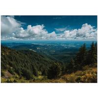 FOTOTAPETE Landschaft Wald Blau 150x105 cm - Multicolor, Papier (150/105cm) - Wallarena