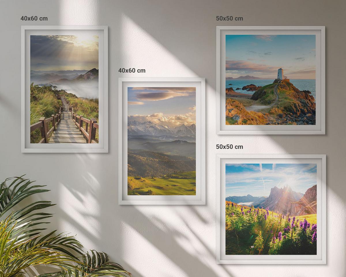 BILDER SET 4er Set - 50x50 cm & 40x60 cm Weißer Rahmen - Bergblumen Himmelsweg - Weiß, Kunststoff (50/50cm) - TULUP
